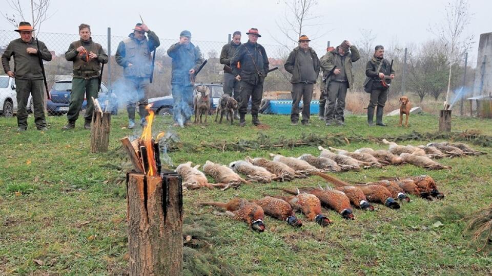 Zveri ubúda: V minulosti nebol problém počas jednej poľovačky uloviť päťsto poľných zajacov. Dnes sú v blatnianskom poľovníckom združení radi, keď ich je sto za celú sezónu.