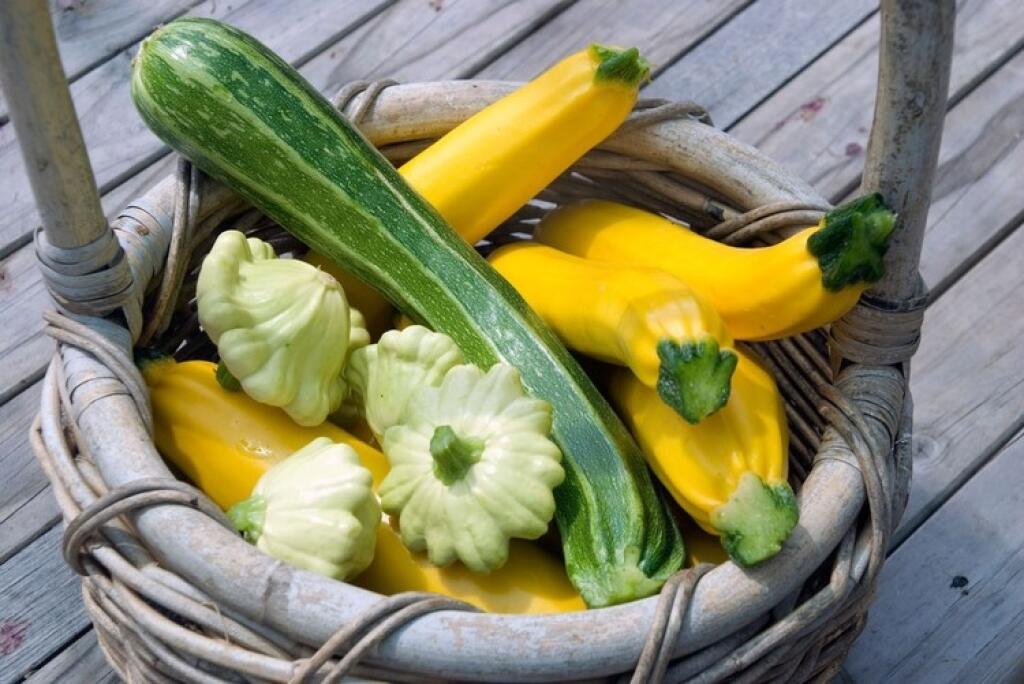 Plody majú zväčša valcovitý tvar, farba plodov je zelená, niekedy s pásikmi, žltá až oranžová.