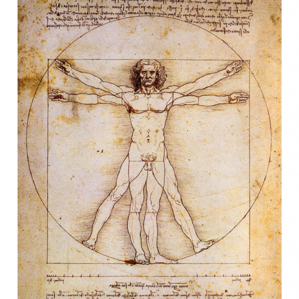 Vitruviánsky muž od Leonarda da Vinci.