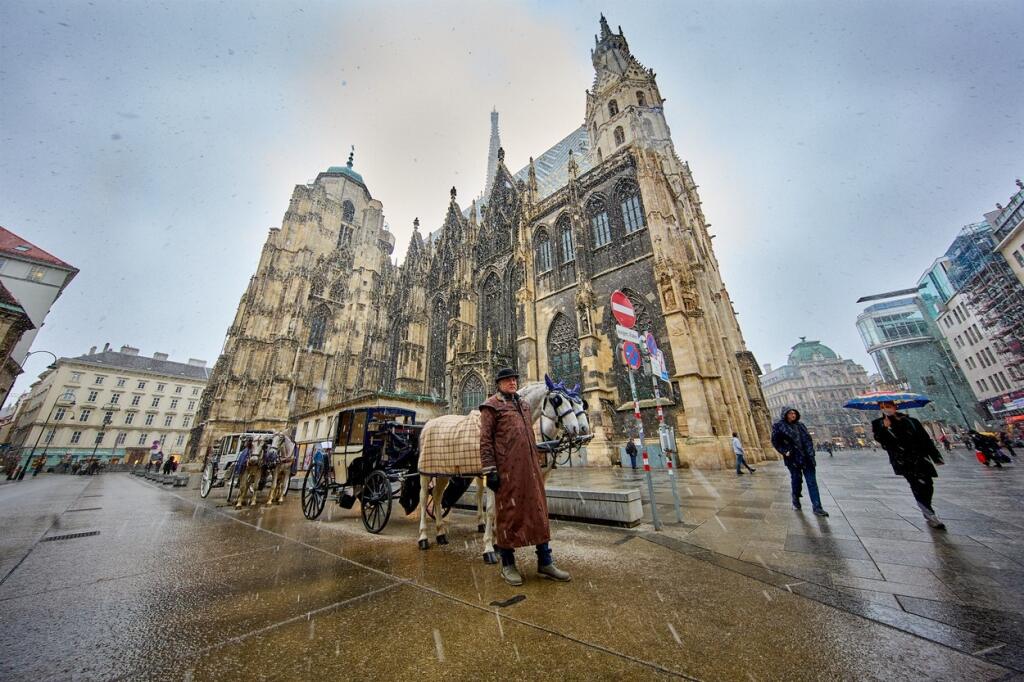 Viedeň
