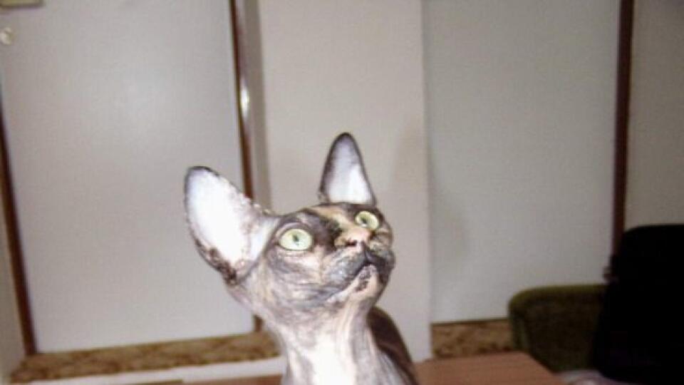 Archív