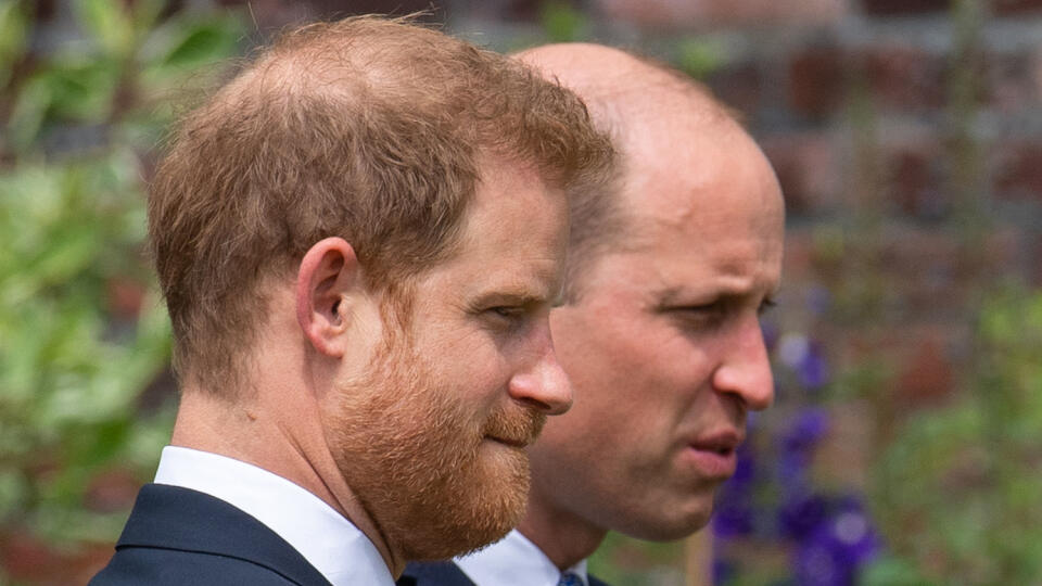 William a Harry