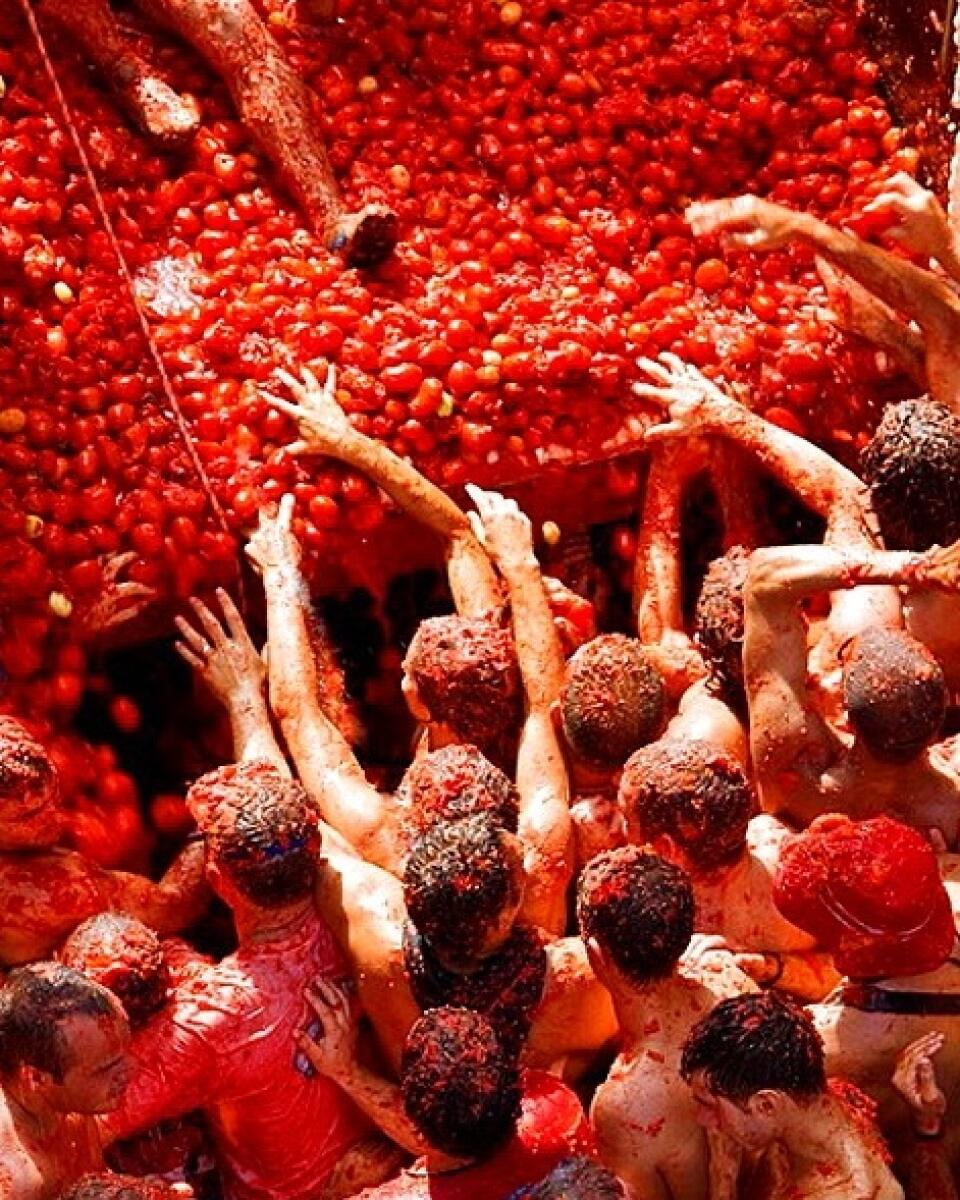 Spain, Valencia Region, Bunol City, Tomatina Festival (Tomato festival)