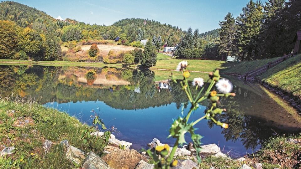 Tajch Bakomi: Ak nad jeho brehmi vybudujú vyše dvadsať obydlí, ako sa v Banskej Štiavnici hovorí, navždy stratí svoje čaro.