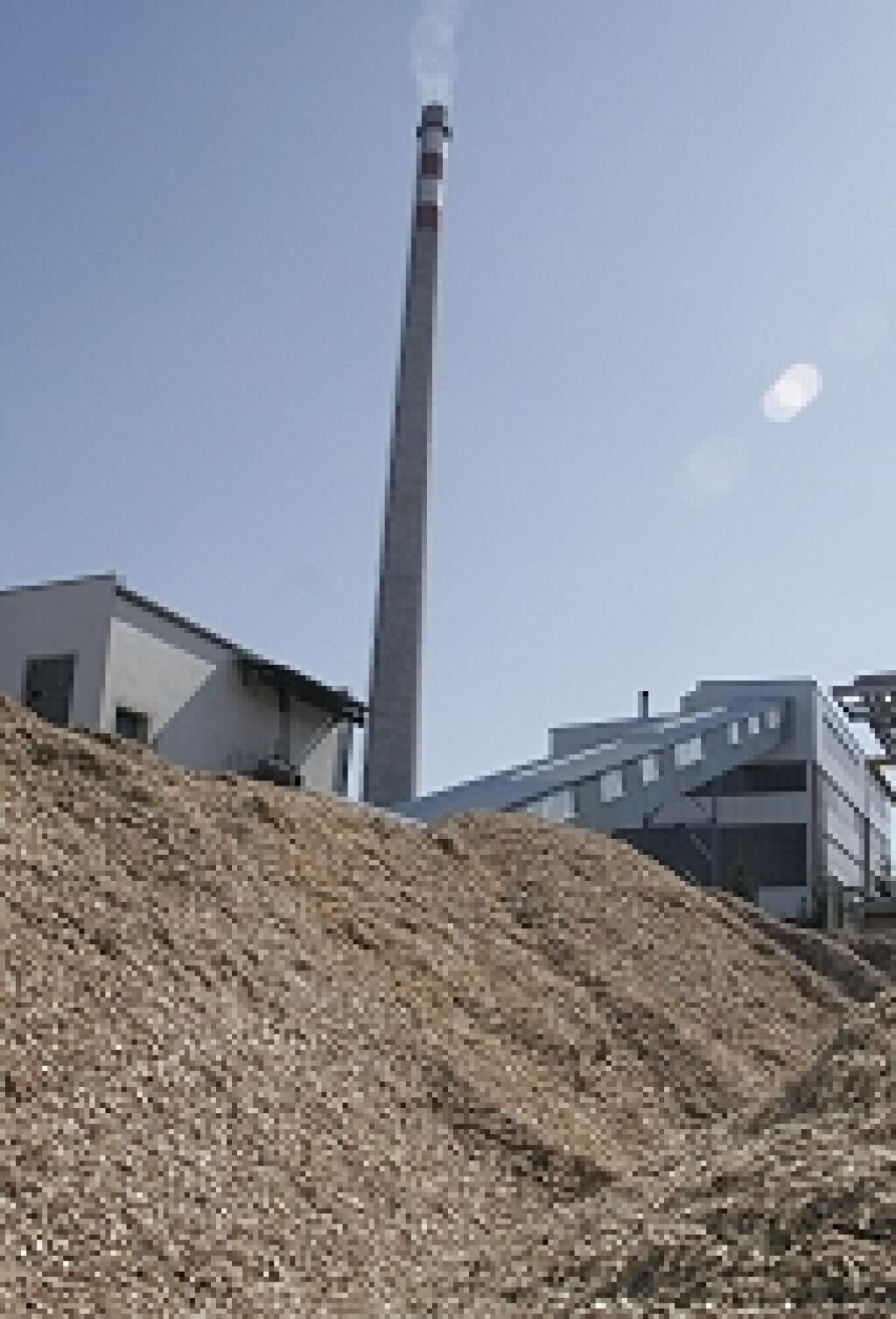 Lacné teplo rastie na plantážach