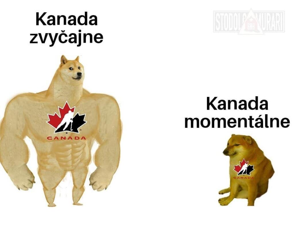 Kanade, ako aj niektorým iným favoritom, sa na tohtoročných MS vôbec nedarí a internet si z nich uťahuje.