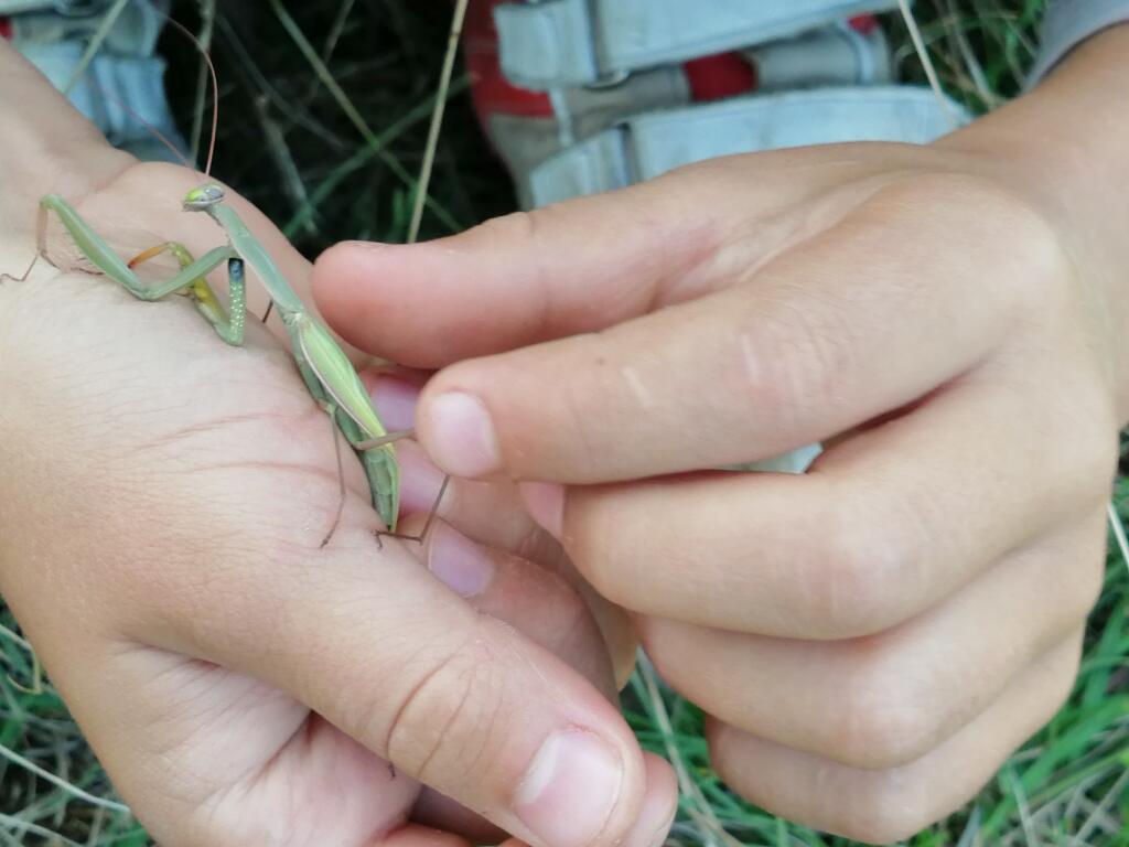 Prírodopis sa dá učiť aj takto.