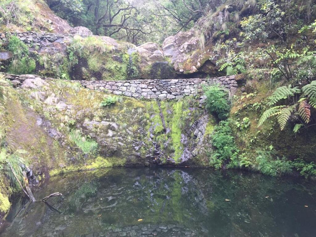 Je Madeira dobré miesto na dovolenku (pre Teba) ?