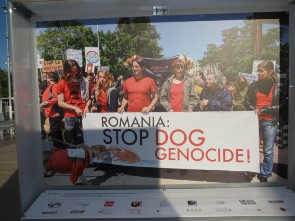 Ženeva sa nepodriadila tureckej cenzúre