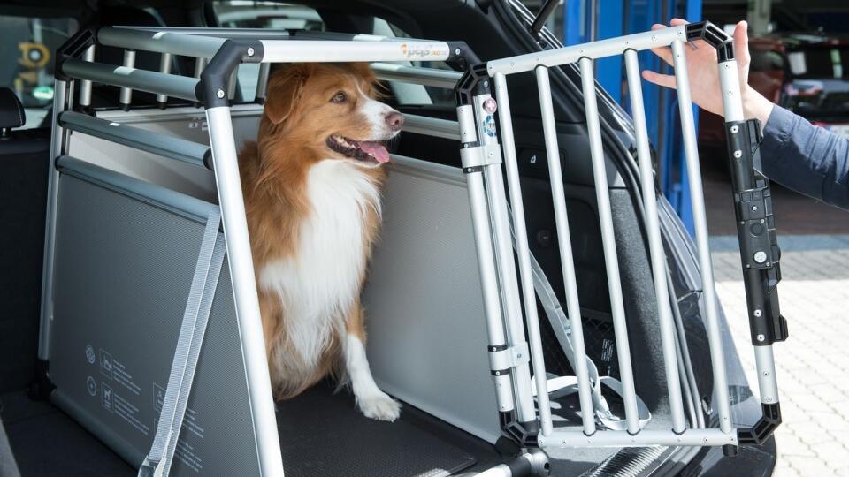 Najbezpečnejším spôsobom prevozu psa je špeciálna prepravka
