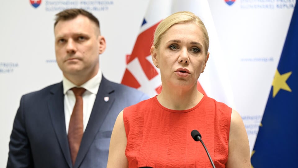 Denisa Saková (Hlas-SD)