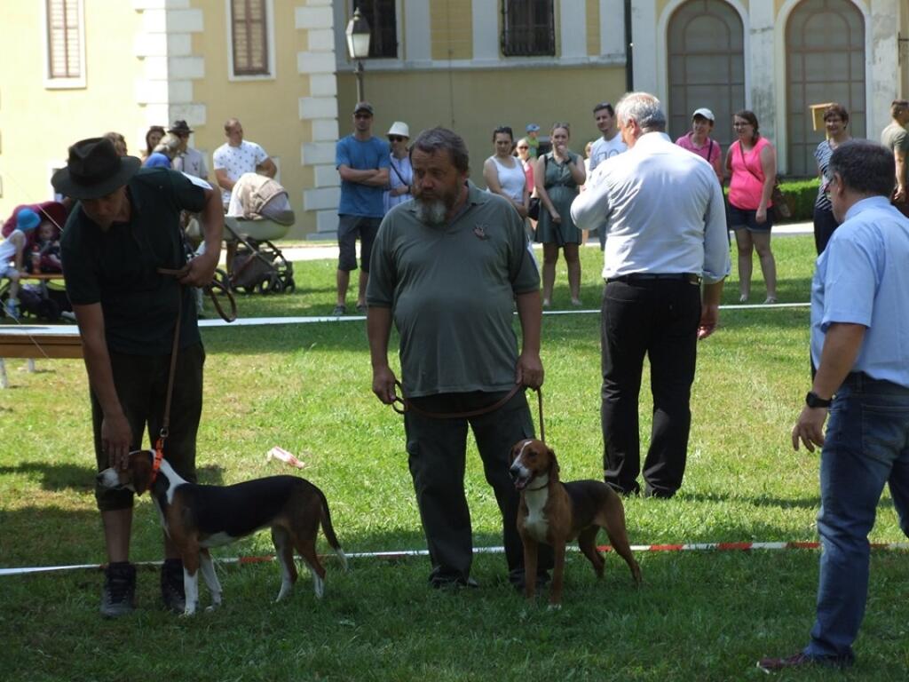 Špeciálna výstava klubu chovateľov duričov v Betliari