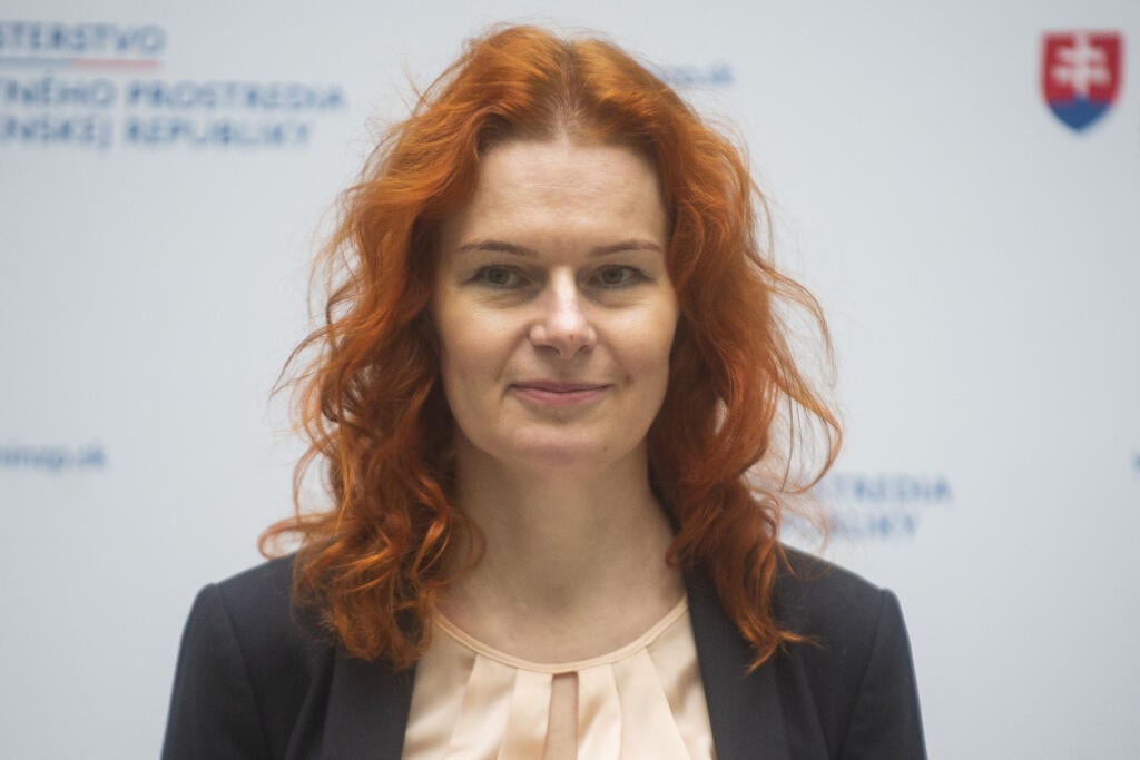 Na snímke generálna riaditeľka sekcie plánu obnovy Úradu vlády SR Lívia Vašáková počas tlačovej konferencie na tému  Predstavenie rozvojových projektov v Národnom parku Muránska planina a v Národnom parku Poloniny financovaných z Plánu obnovy a odolnosti SR 7. novembra 2022 v Bratislave. FOTO TASR - Jakub Kotian