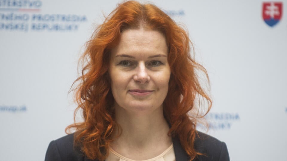 Na snímke generálna riaditeľka sekcie plánu obnovy Úradu vlády SR Lívia Vašáková počas tlačovej konferencie na tému Predstavenie rozvojových projektov v Národnom parku Muránska planina a v Národnom parku Poloniny financovaných z Plánu obnovy a odolnosti SR 7. novembra 2022 v Bratislave. FOTO TASR - Jakub Kotian