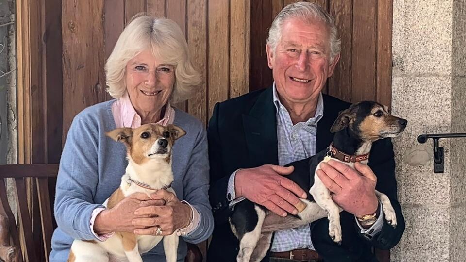 The Prince of Wales and the Duchess of Cornwall celebrate their 15th Wedding Anniversary