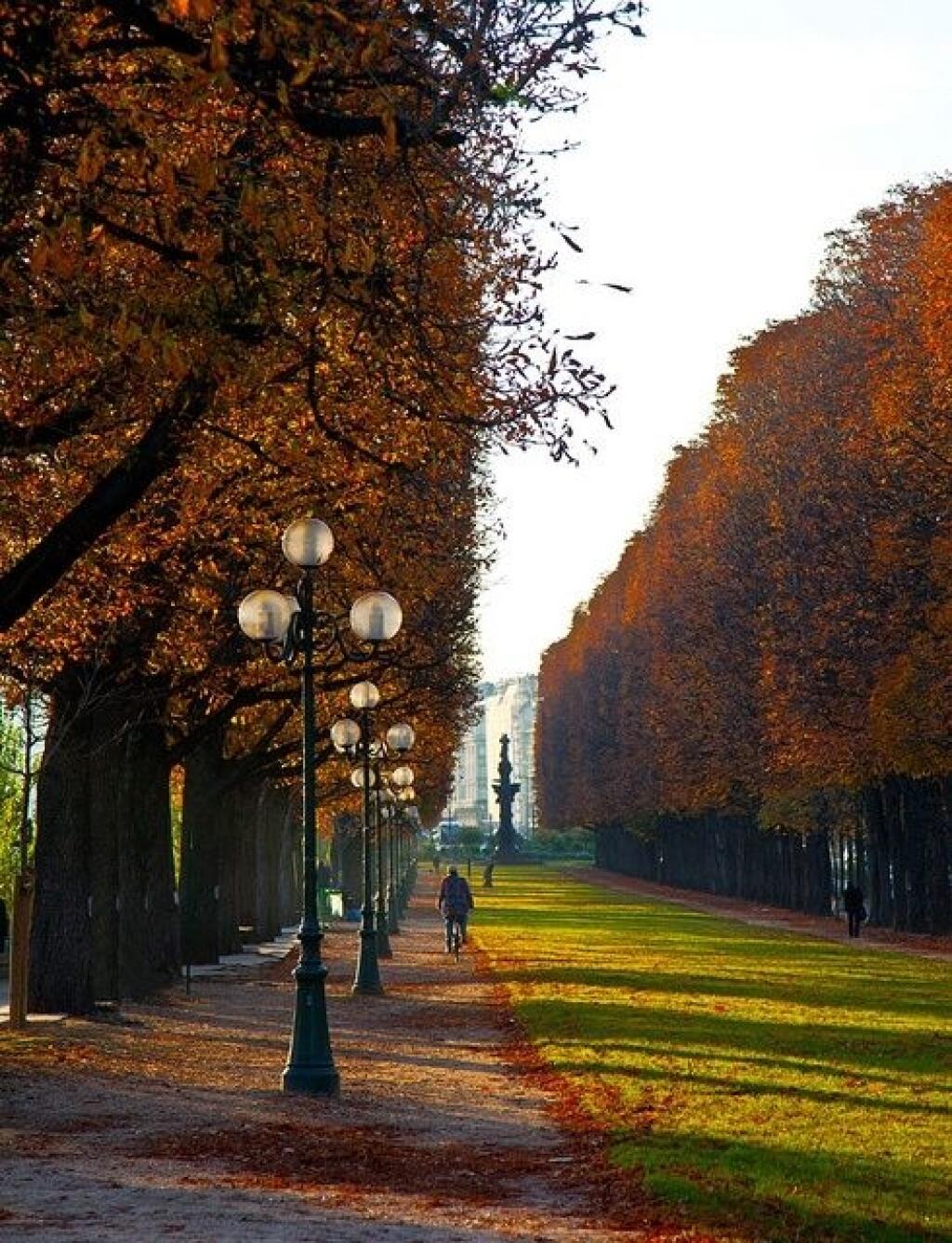 Jeseň je dokonalým obdobím, kedy navštíviť Paríž.