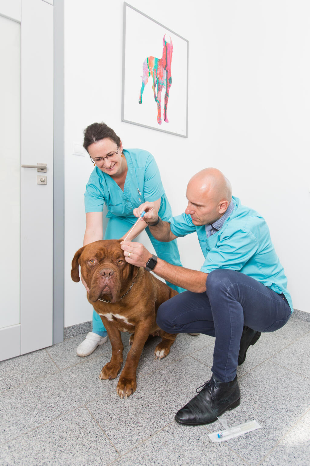 veterinár
