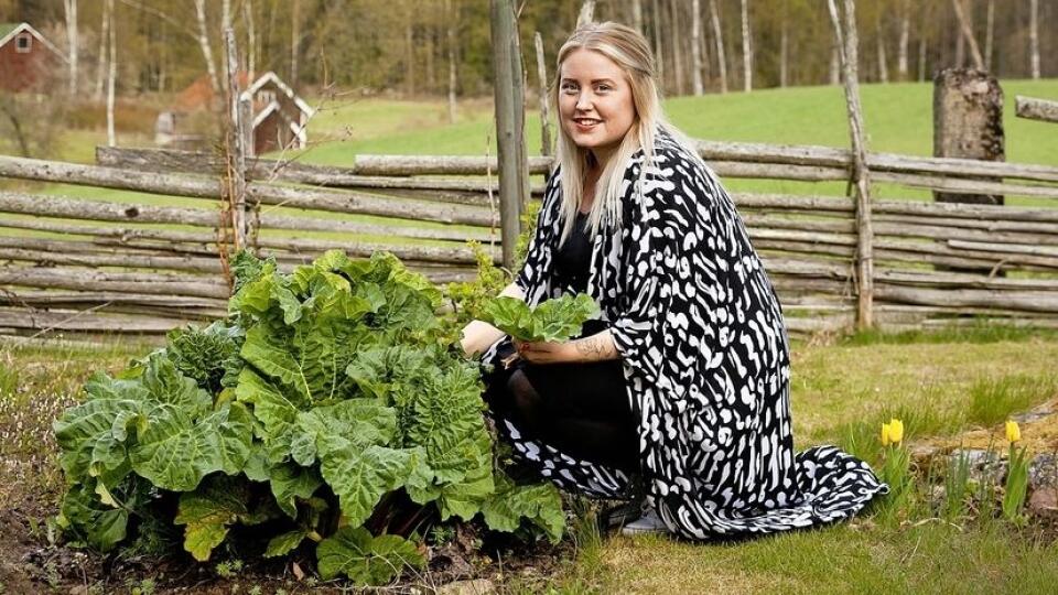 Dom na vidieku obýva Lisa so svojím mužom Henrikom a ich dcérkou Kerstin.