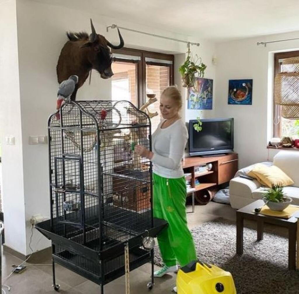 Herečka ukázala obývačku.