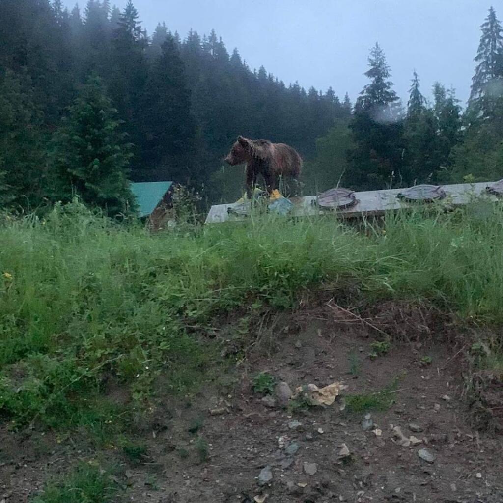 V Jasenskej doline takto...
