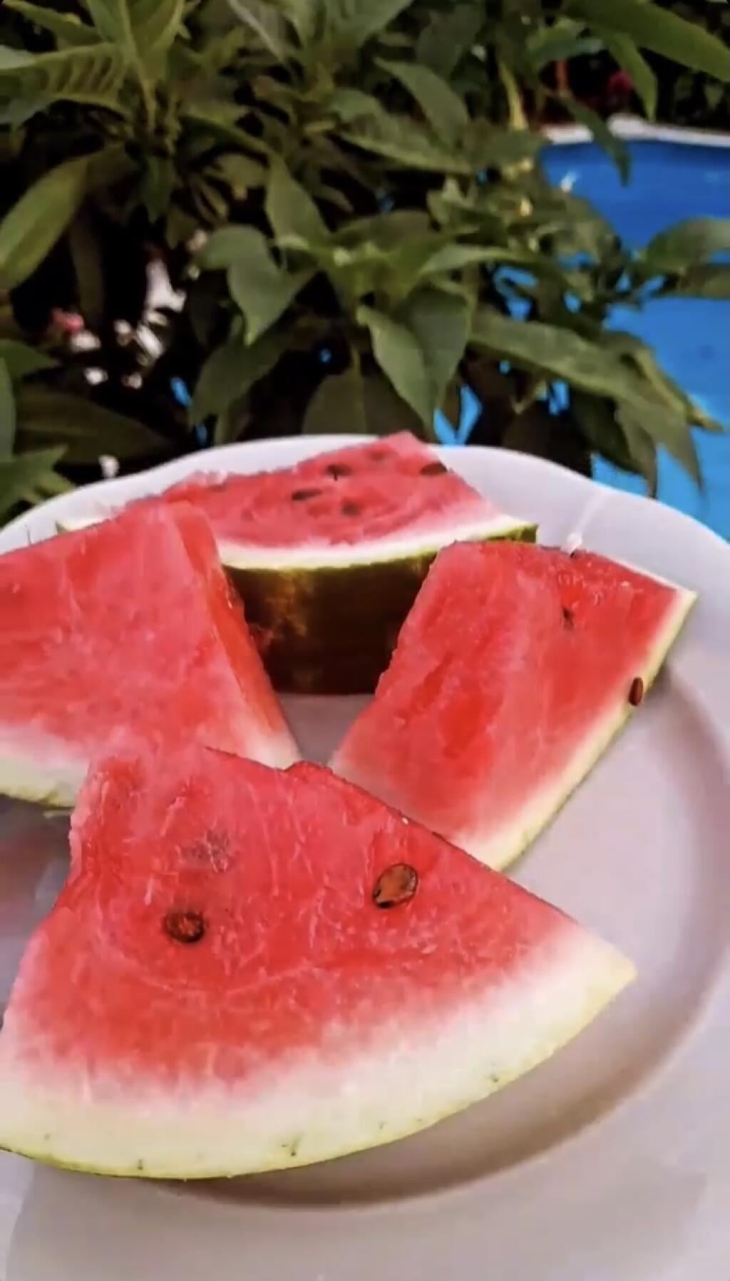 Noru reči o bezdomovectve nevyviedli z miery. Víkend si užila pri bazéne a chystá sa na dovolenku k moru.