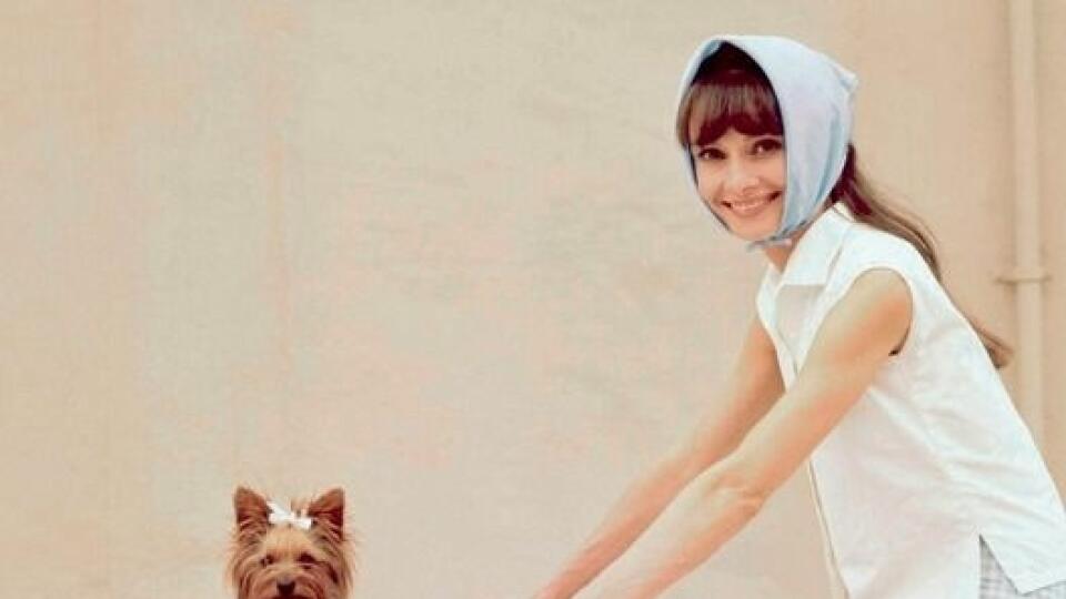 Audrey Hepburn, 50. roky.