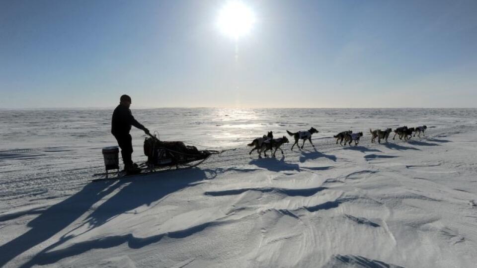 Aily Zirkle drives her dog team towards Elim after leaving the checkpoint at Koyuk in Alaska during the Iditarod Trail Sled Dog Race on Monday, March 11, 2013. (AP Photo/The Anchorage Daily News, Bill Roth)