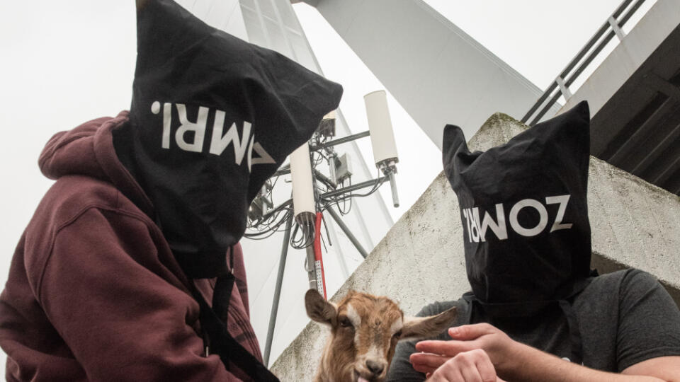 Sú ako Colombova manželka. Všetci vedia, že existujú a nikto nevie, ako vyzerajú. Chalani, ktorí stoja za stránkou Zomri. Šokujú, provokujú, robia si dobrý deň z horiacich vlakov, z politikov, zo zlatokopiek a zo všetkého, čo rieši Slovensko.