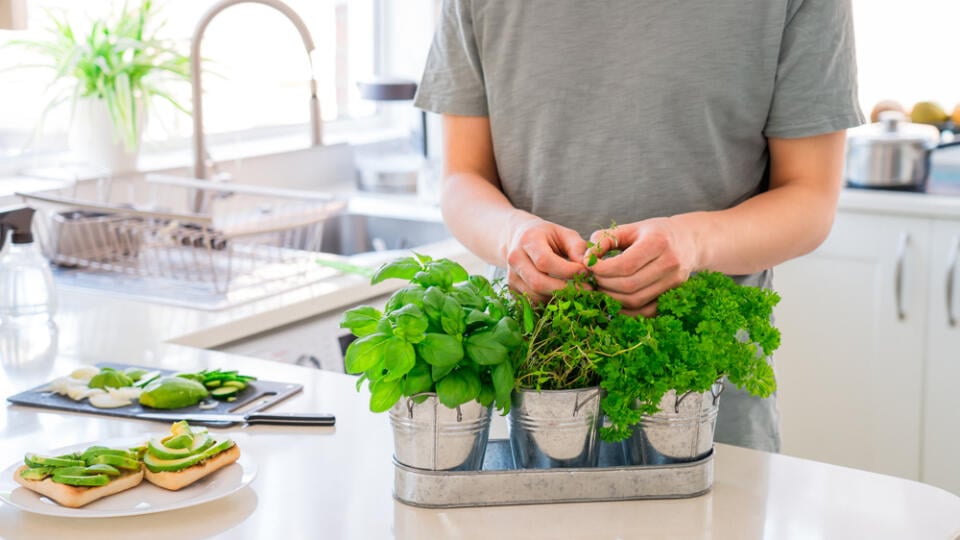 Man's,Hand,Picking,Leaves,Of,Greenery,During,Cooking.,Home,Gardening