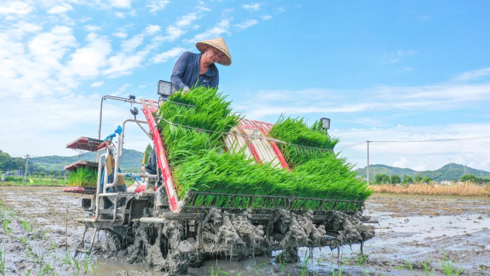 China Agriculture