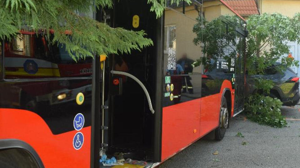 Vodič autobus pri parkovaní dostatočne nezaistil.