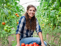 Rady pre záhradníkov: Ako podporiť PARADAJKY, aby ste mali čo najväčšiu a najlepšiu úrodu?