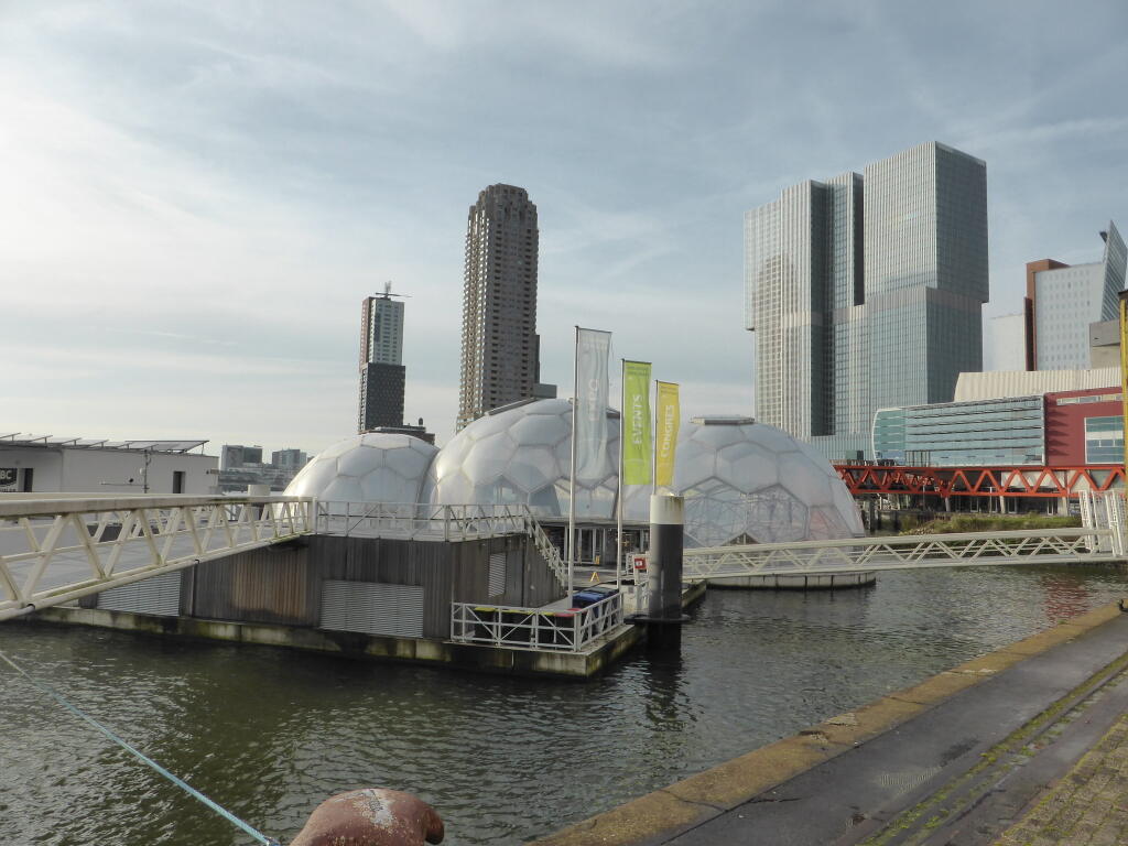 Rijnhaven
