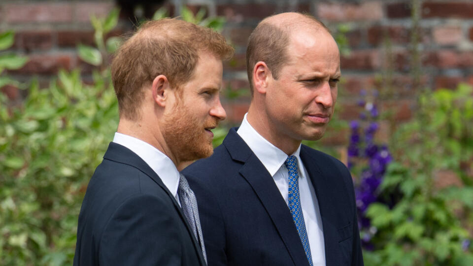 Princovia Harry a William na fotke z roku 2021