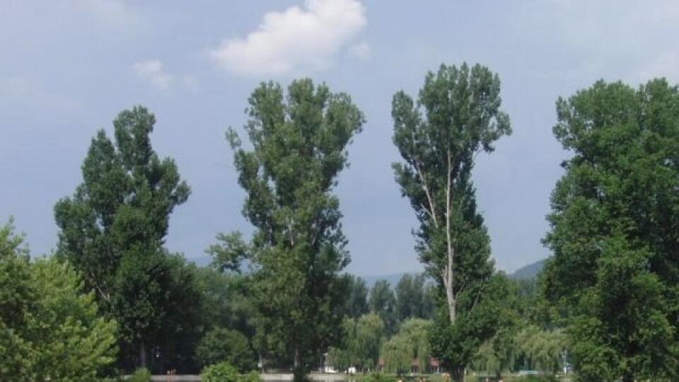 Archív