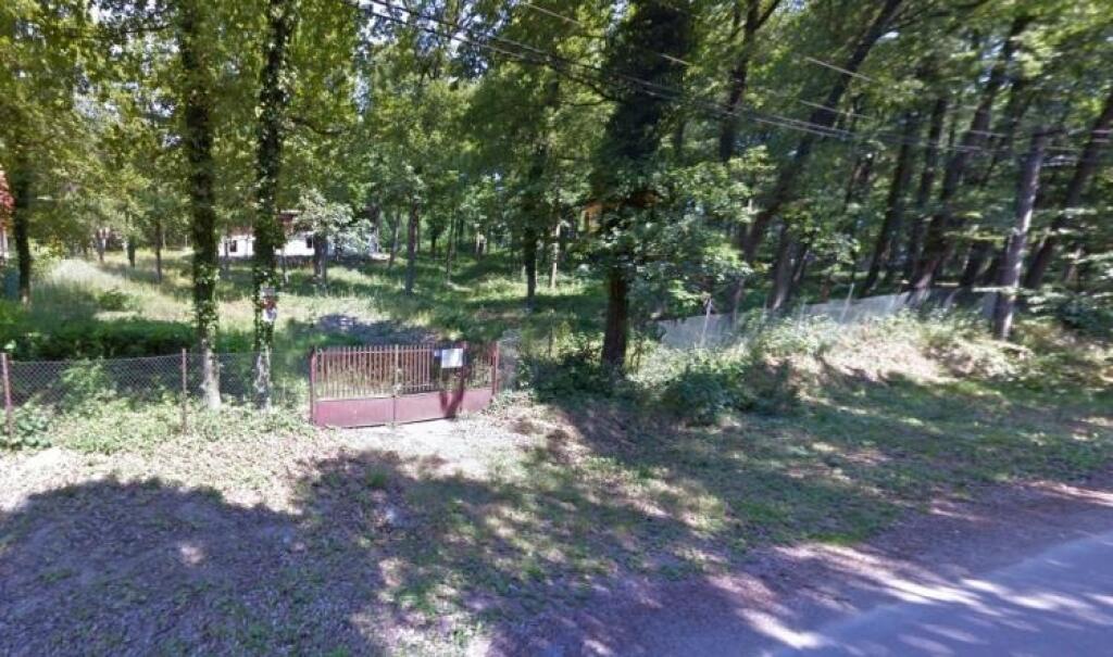 Kto sú najväčšie biele kone na Slovensku a koľko dlhujú na daniach
