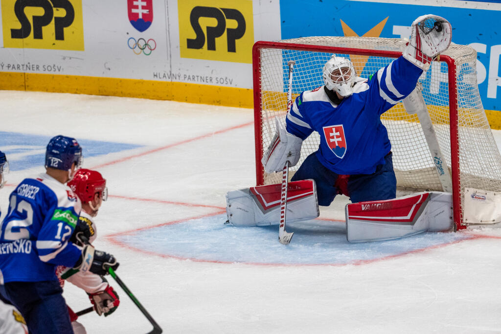 Slováci zvládli náročnú kvalifikáciu a postúpili na olympiádu do Pekingu.