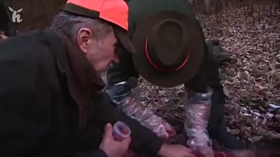 VIDEO: Africký mor ošípaných! Je dôležité verejnosti neustále opakovať aktuálnosť tejto témy!