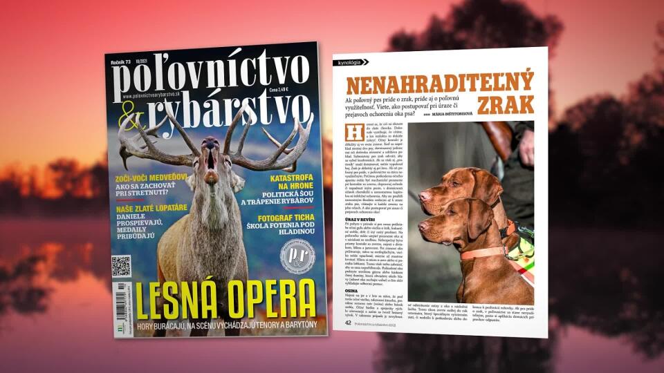 Krásne, októbrové číslo Poľovníctva a rybárstva je už v predaji!
