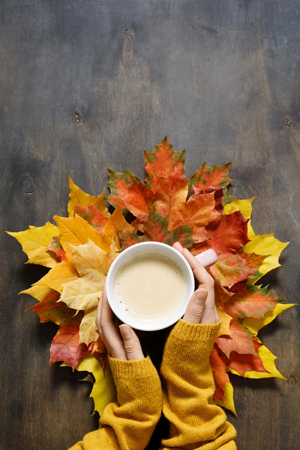 Female,Hand,Hold,Cup,Of,Coffee,On,Dark,Wooden,Background
