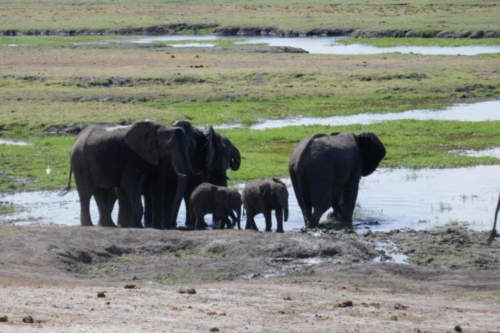 Africké safari na vode aj na súši