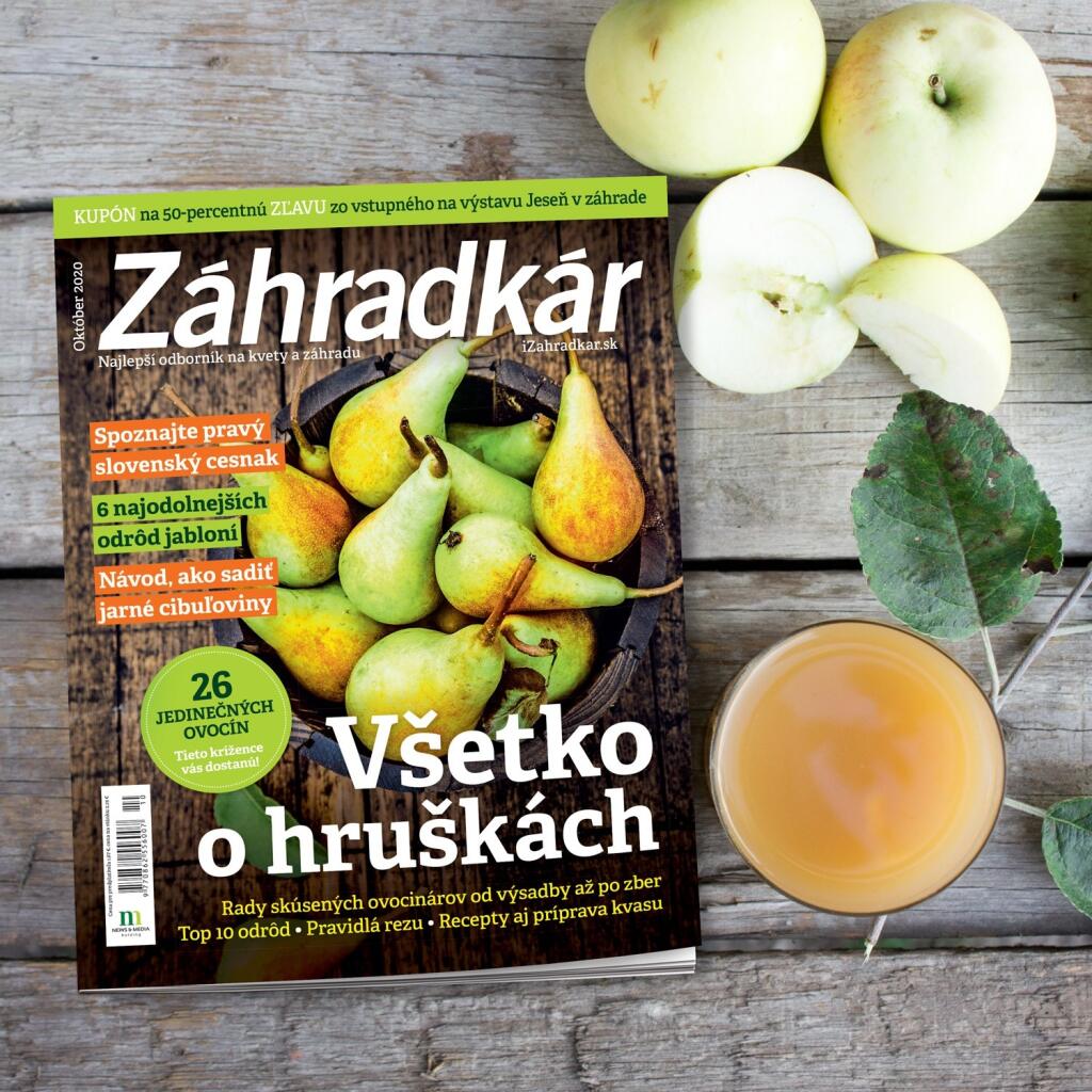 Októbrový Časopis Záhradkár už v predaji.