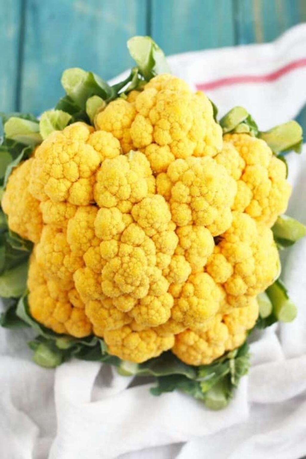 Karfiol nemusí byť len biely. Existujú žlté, zelené, fialové či oranžové odrody.