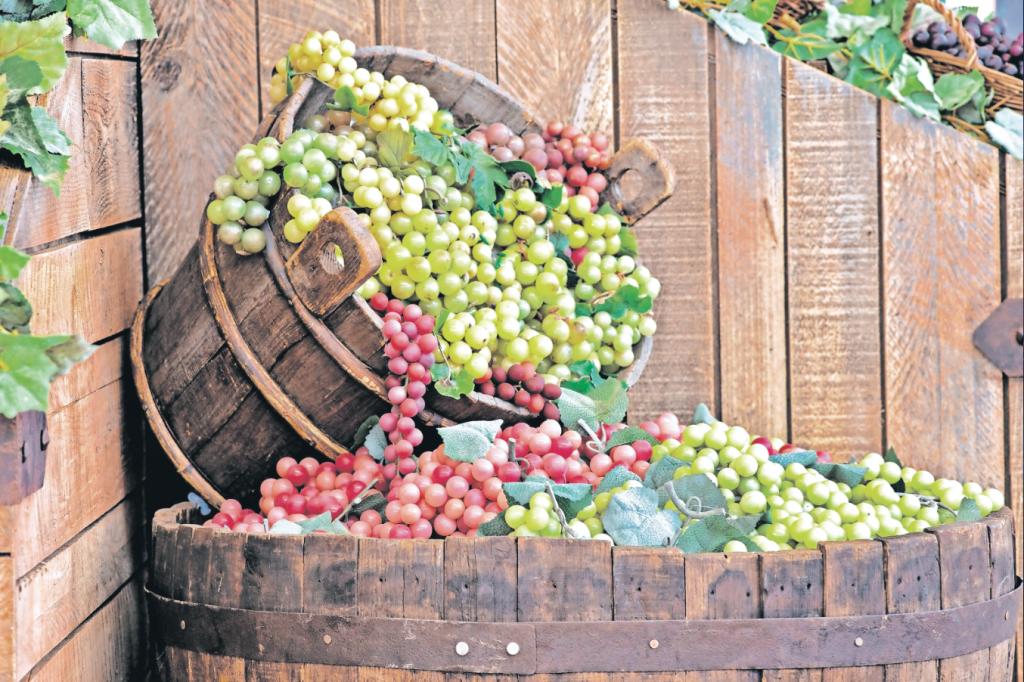 Najmä šupky modrého hrozna sú bohatým zdrojom antioxidantu resveratrol.