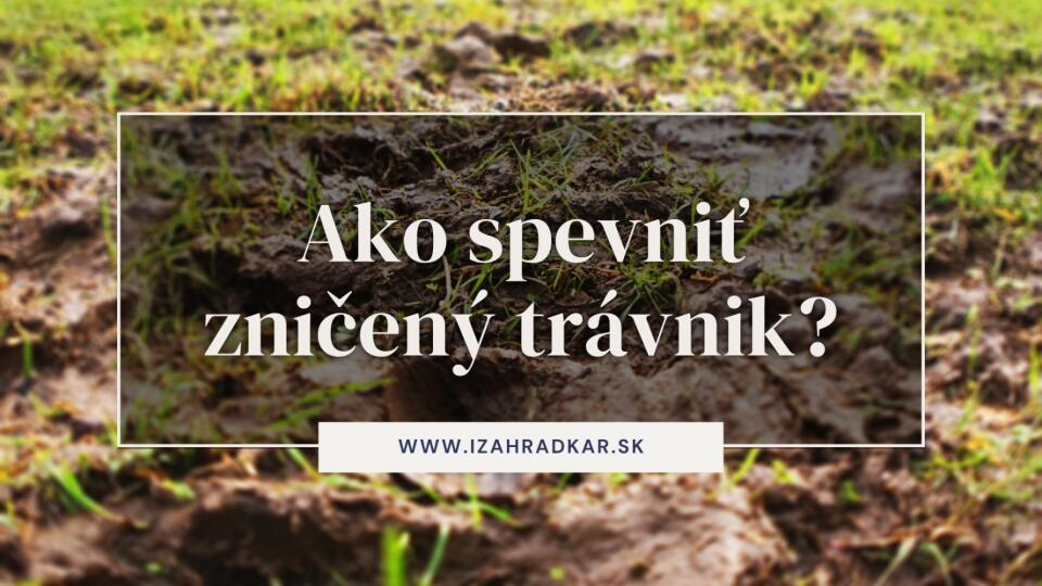 Ako spevniť zničený trávnik?