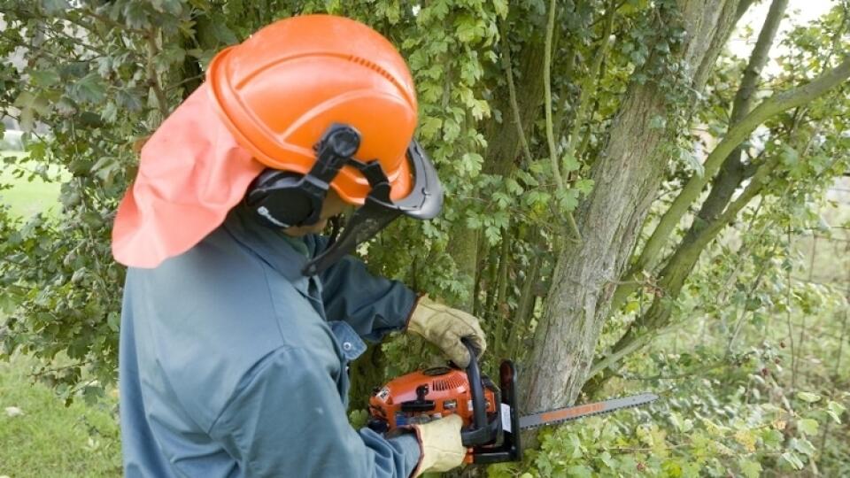 Pred pílením by ste si mali naštudovať správnu techniku