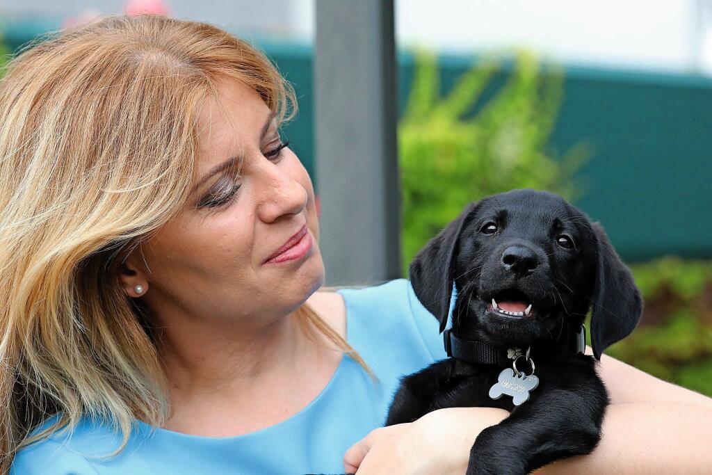 NOVÝ ČLEN DOMÁCNOSTI Prezidentka Zuzana Čaputová ukázala verejnosti labradora Leona.
