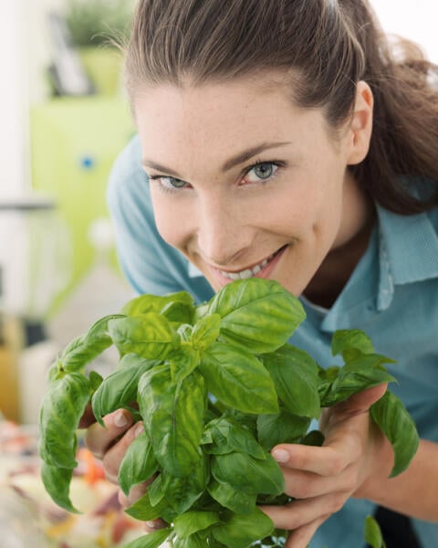 KVÍZ Rozoznáte čerstvé kuchynské bylinky podľa fotografie? Otestujte sa!