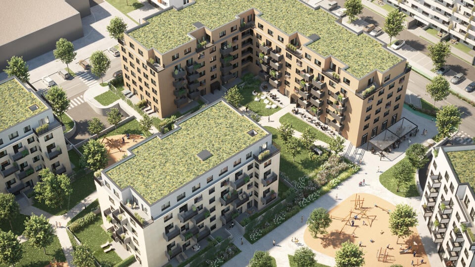 Projekt Arboria