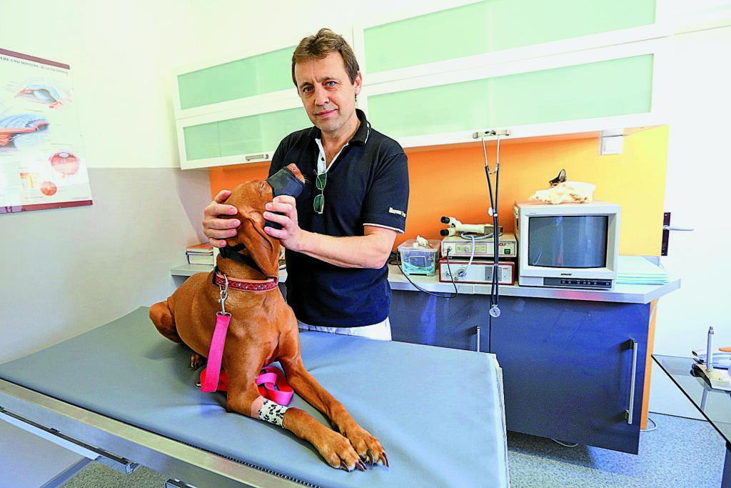 Veterinár